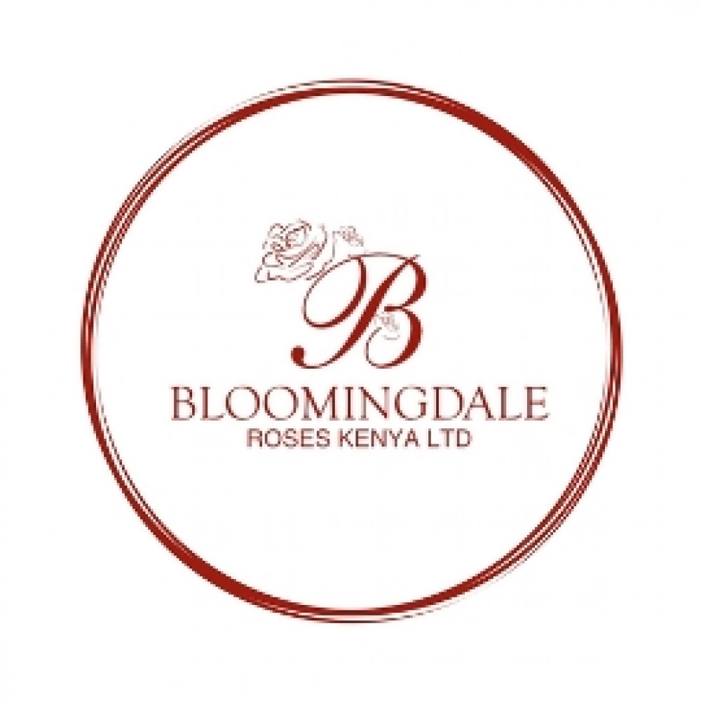 Bloomingdale Roses