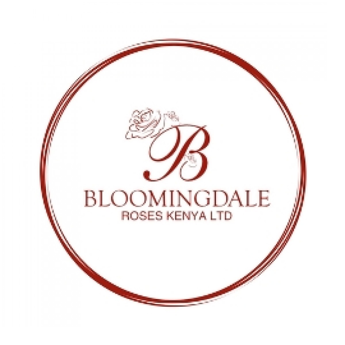 Bloomingdale Roses